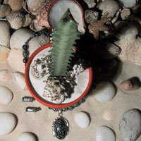 Молочай (Euphorbia lactea)